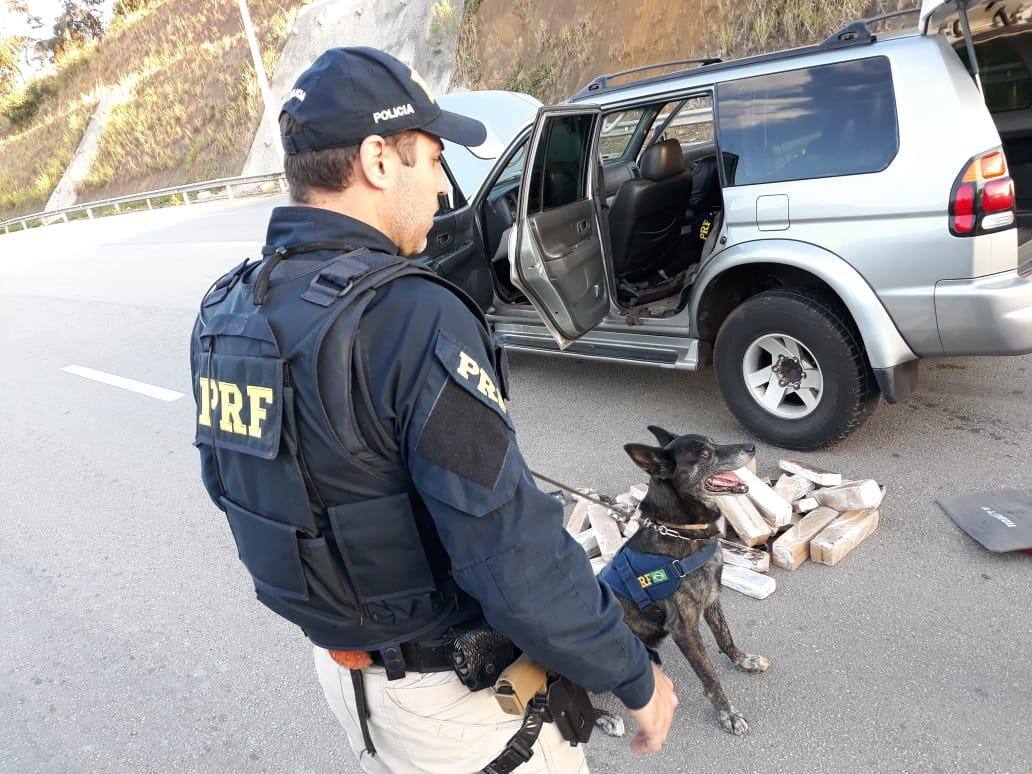 Cães farejadores auxiliaram a polícia a encontrar os tabletes de maconha