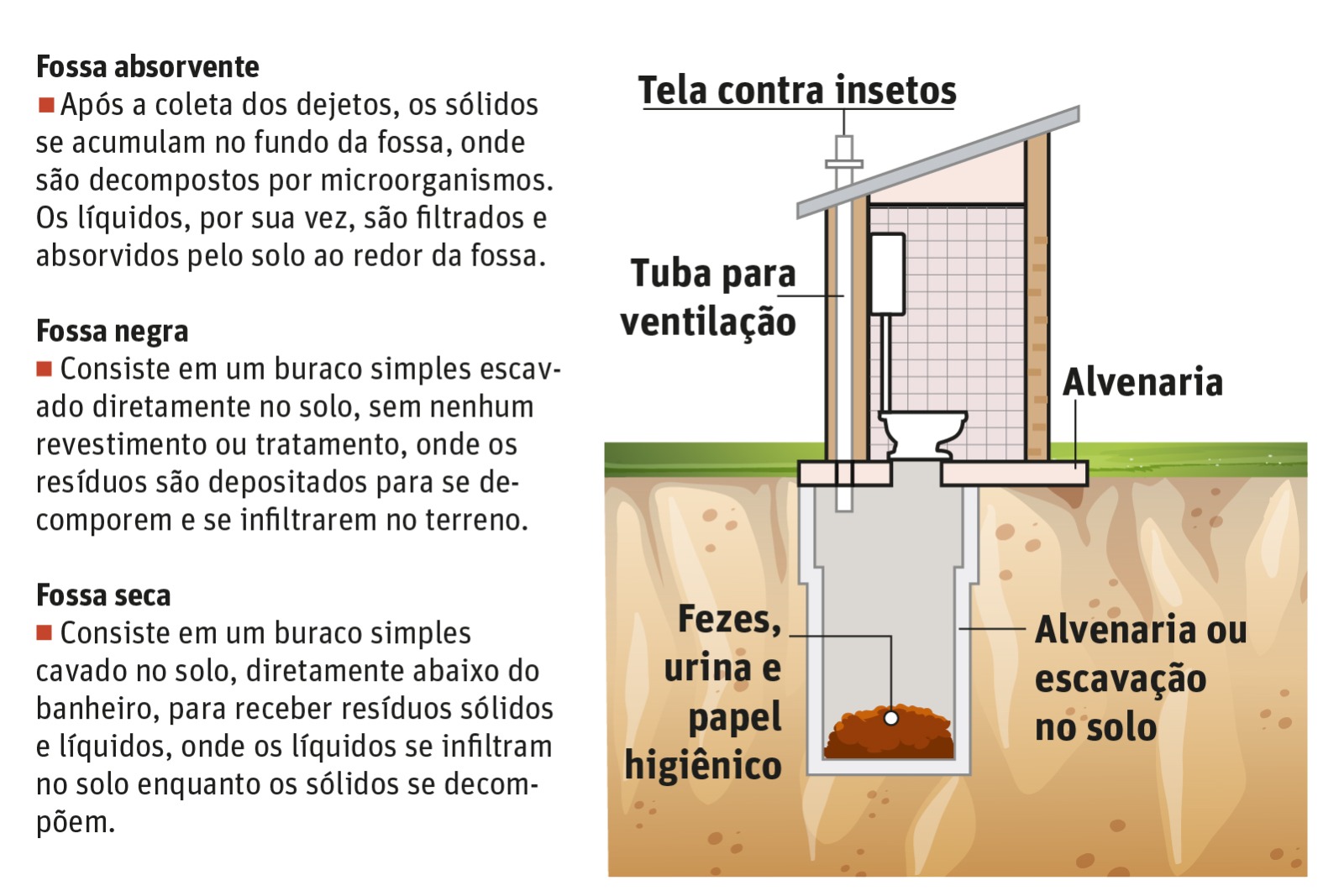 Image from Assets