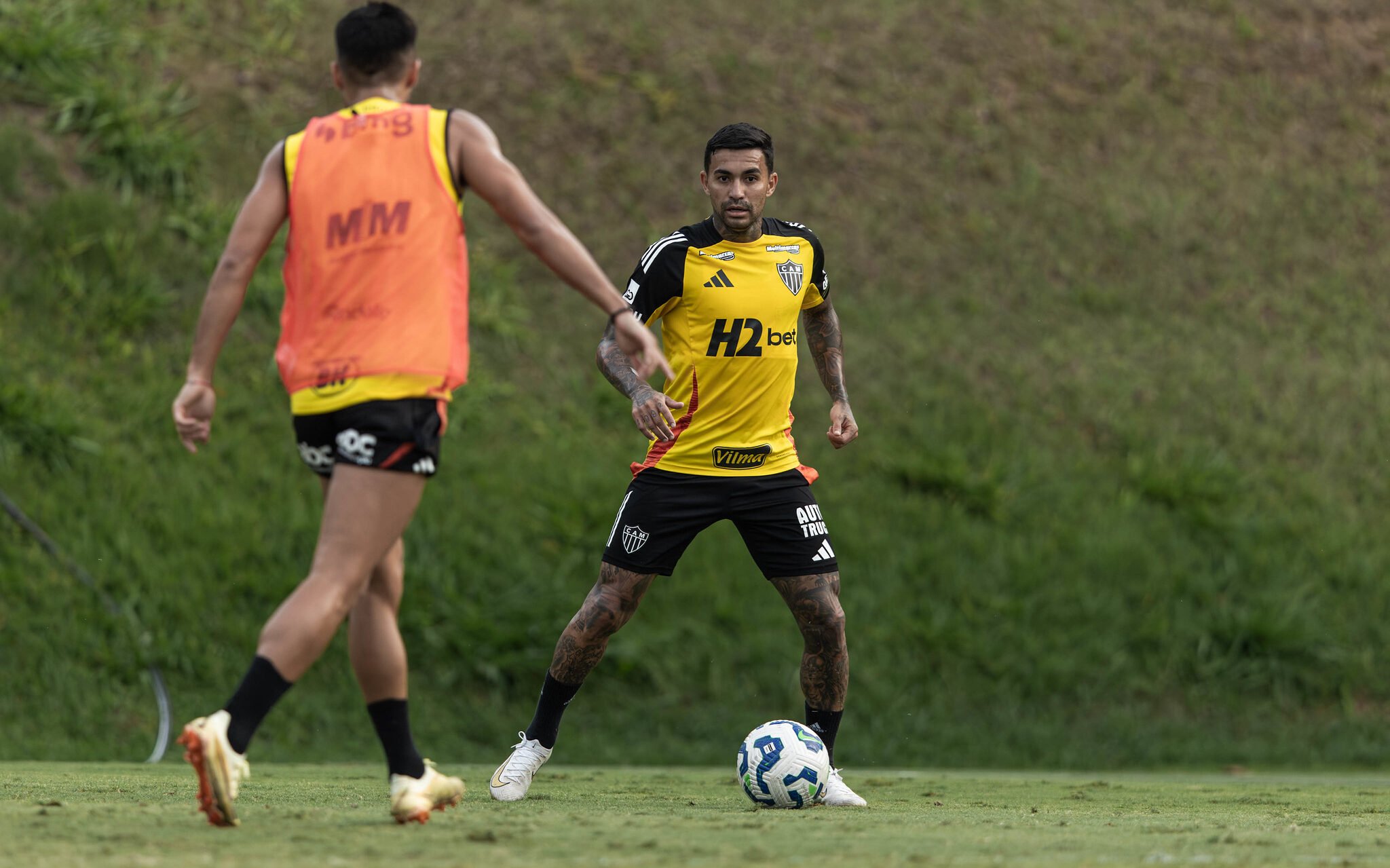 STJD adia julgamento e Dudu será desfalque contra Flamengo