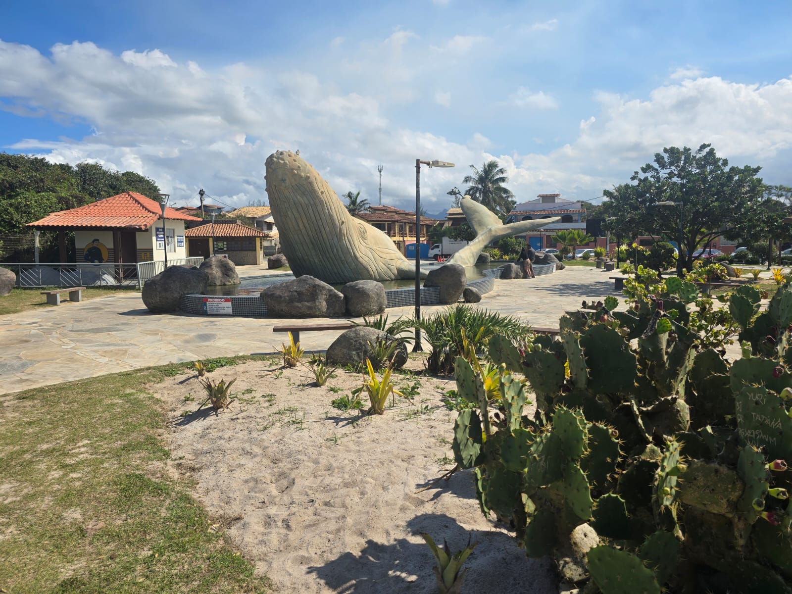 Image from Assets