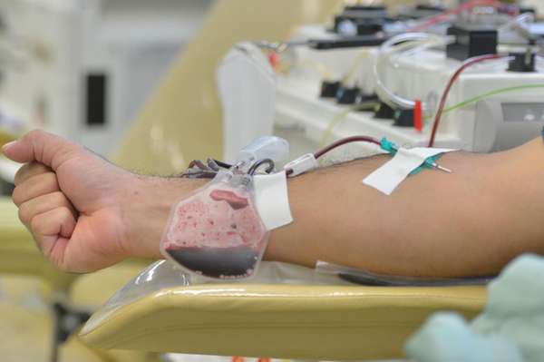 Câmara de BH aprova meia-entrada para doadores de sangue 