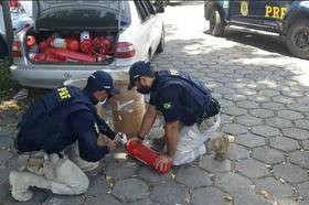 PRF prende pai e filho com cocaína escondida em extintores de incêndio em Minas