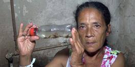 Moradores do Cabana, em BH, denunciam infestação de escorpiões 