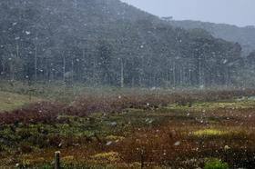 Santa Catarina registra neve pela primeira vez em 2022; veja imagens