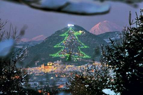 Maior árvore de Natal do mundo é acesa na Itália | O TEMPO