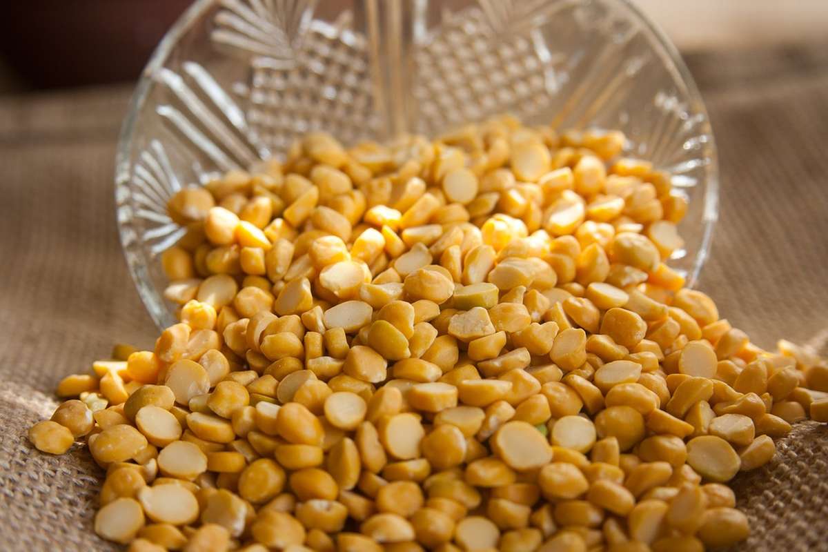 Tradição de Réveillon: Por que comemos lentilha no Ano Novo? | O TEMPO