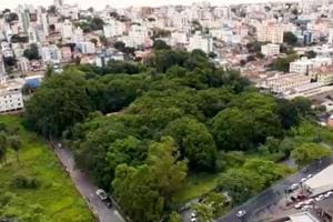 Mata no Jardim América: audiência pede preservação de 'pulmão verde' em BH