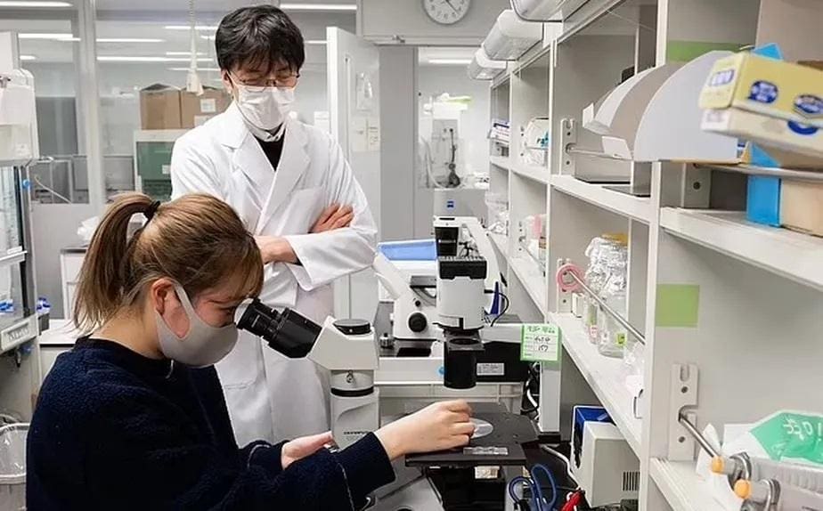 O professor Katsuhiko Hayashi, da Universidade de Kyushu (foto), um cientista japonês que já descobriu como fazer IVG em camundongos, prevê que em cinco anos seja possível produzir células semelhantes a óvulos de humanos